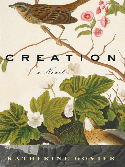 Cover image for Creation